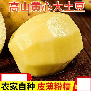 土豆10斤新鲜 农家黄心士豆贵州马铃薯批发蔬菜高山洋芋 包邮