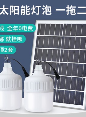 2025太阳能灯泡室内专用照明灯充电灯笼一拖二晚上院子庭院户外