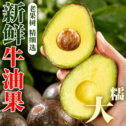 当季哈斯牛油果大果孕妇新鲜水果应季整箱包邮精选一级鳄梨辅食
