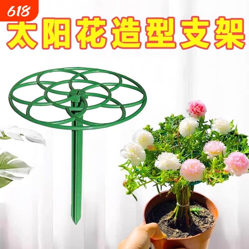 蟹爪兰支撑杆防倒伏花架子