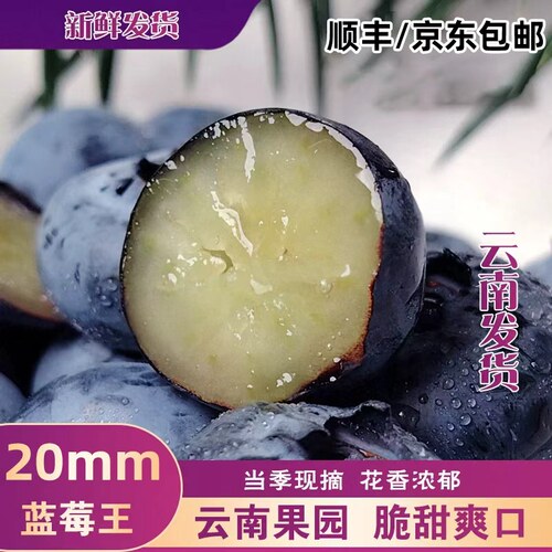 云南高山花香蓝莓新鲜采摘高原