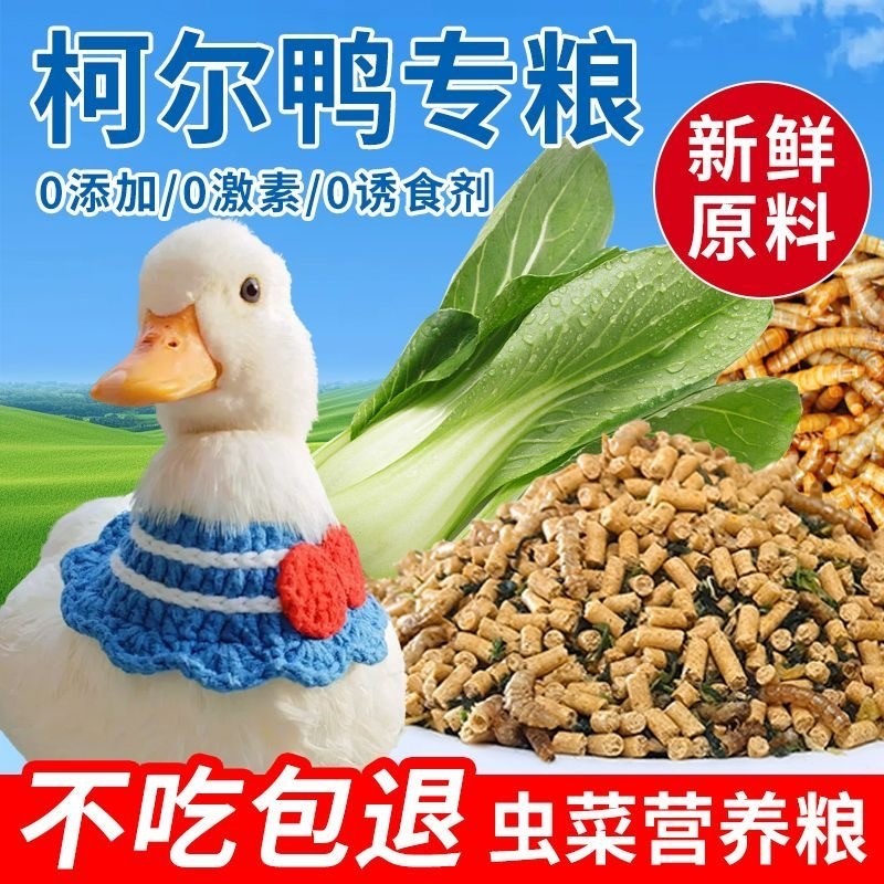 柯尔鸭粮食面包虫鱼干小鸭子的开口粮鸭子营养均衡饲料可达鸭制粒