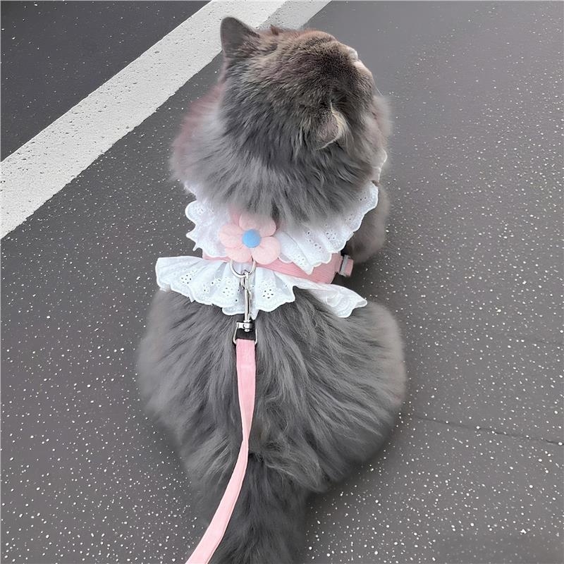 猫咪牵引绳带小花可调节狗狗防挣脱胸背带宠物衣服牵引绳外出遛猫