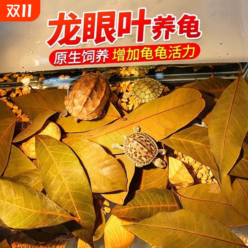 龟缸生态水族造景养龟专用龙眼叶干腐皮烂甲调节水质乌龟躲避鱼缸