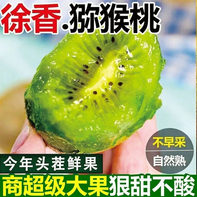 陕西周至徐香猕猴桃绿心奇异果孕妇应季新鲜水果现摘现发整箱包邮