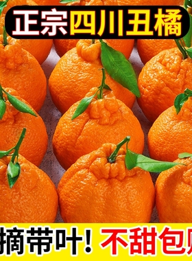 正宗四川不知火丑橘应当季新鲜水果耙耙丑八怪橘子柑桔子整箱包邮
