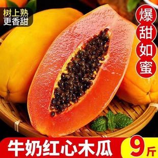 红心牛奶木瓜新鲜孕妇红颜水果当季冰糖心一整箱网红自然熟木瓜