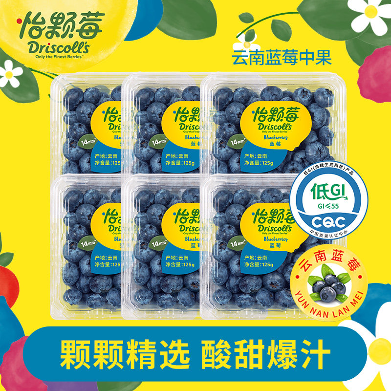 怡颗莓云南蓝莓新鲜水果酸甜口感爆浆大果125g/盒可食用