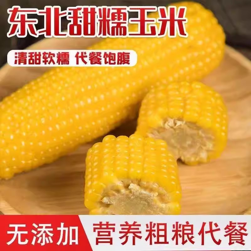 东北黄黏糯玉米棒新货真空包装早餐黄苞米现摘新鲜甜代餐软糯香甜