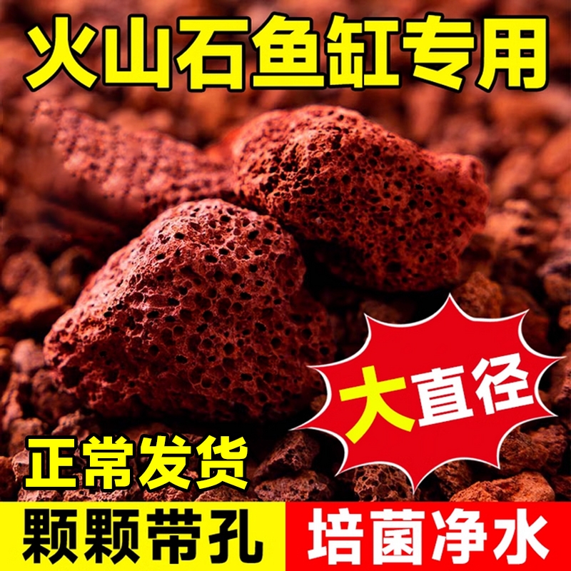 天然红色火山石颗粒鱼缸滤材免洗过滤滤材乌龟晒台原石净水