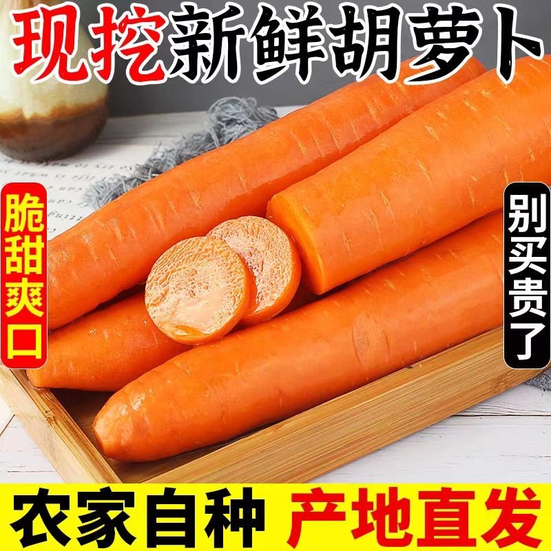 现挖胡萝卜新鲜胡萝卜水果胡萝卜蔬菜生吃水果型脆甜包邮带泥装,水产肉类/新鲜蔬果/熟食,萝卜/胡萝卜,淘宝优惠券,粉丝福利购,淘宝优惠卷