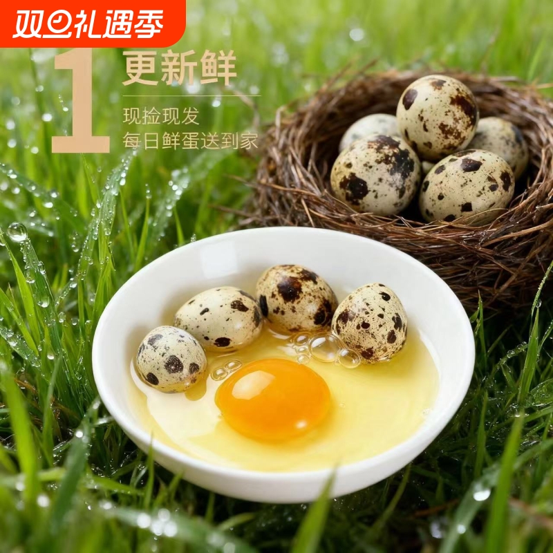 生鹌鹑蛋新鲜50枚盒装现捡农家杂粮喂养生的鸟蛋孕妇辅食