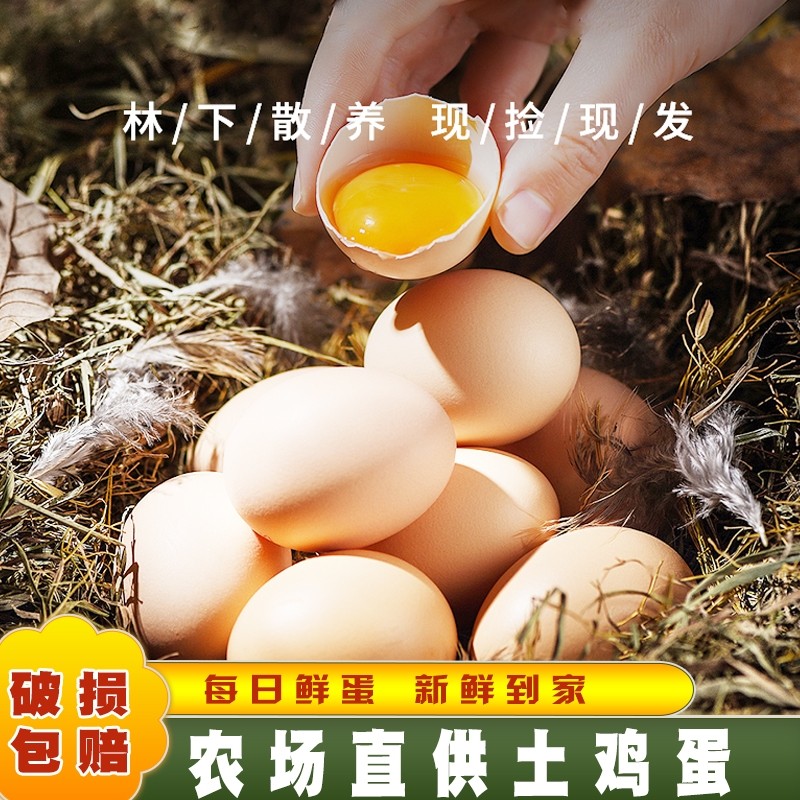 土鸡蛋农家正宗散养鸡蛋新鲜批发价乡村五谷喂养正宗柴鸡蛋月子蛋