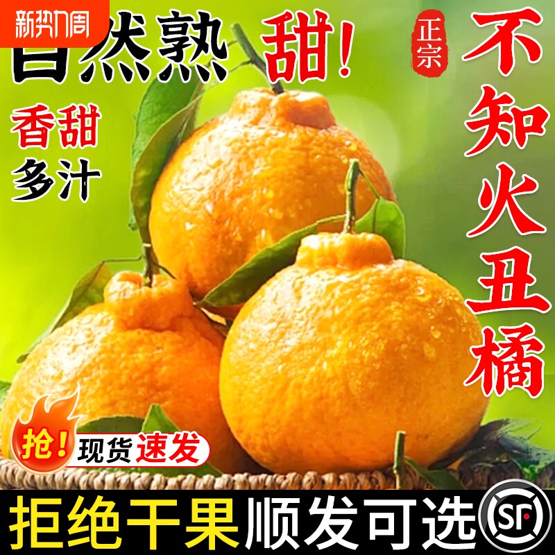四川不知火丑橘水果新鲜整箱时令当季斤桔子耙耙粑粑丑柑橘子鲜果