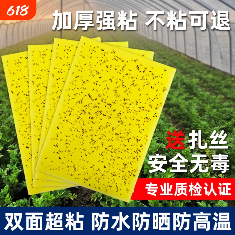 针蜂果粘虫板粘板柑橘实蝇诱捕器果树瓜果园专用防水双面大棚飞蛾