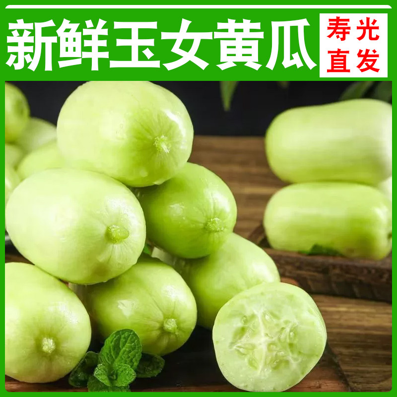 山东拇指黄瓜小黄瓜新鲜水果黄瓜青瓜手指迷你水果玉女黄瓜脆甜