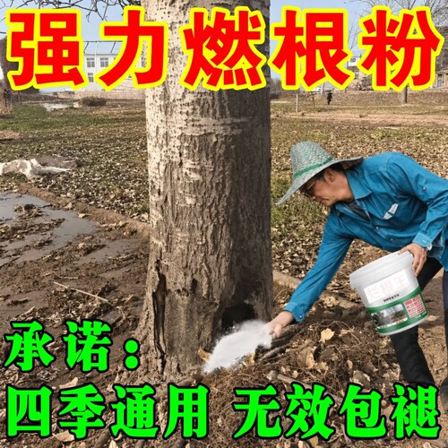 枯i死i专用药正品通用型杂草专用竹子腐燃根王腐蚀剂树园艺肥F