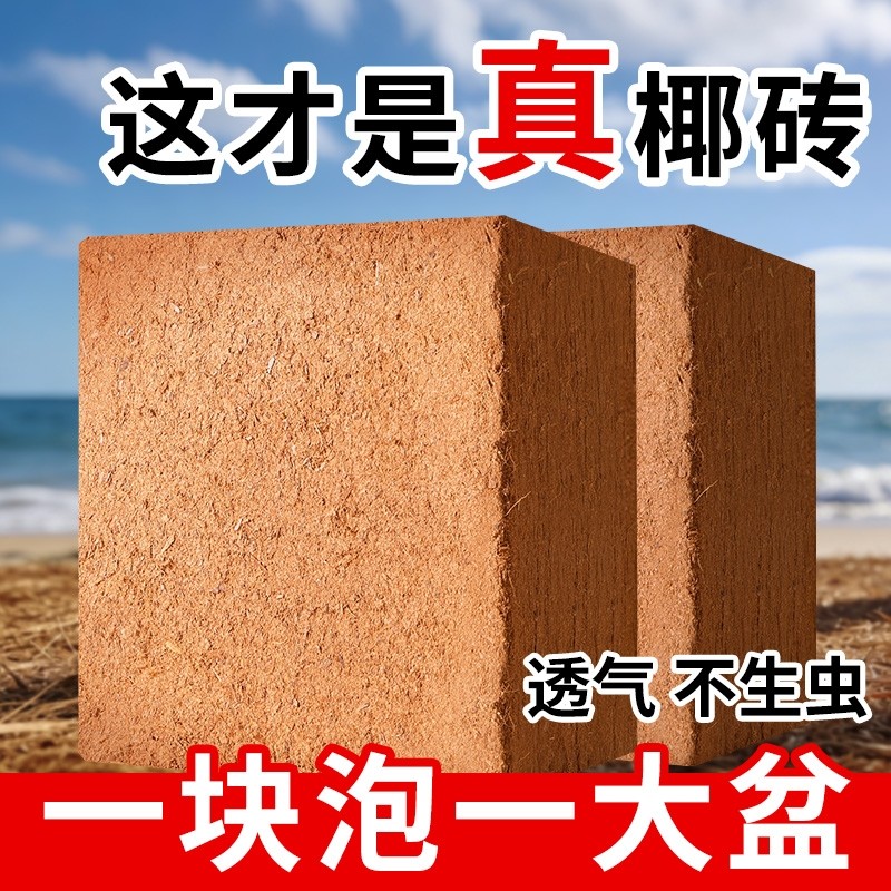 进口椰砖营养土种菜通用型脱盐椰糠耶砖土乌龟冬眠养花种植土椰子