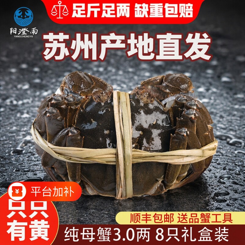 苏州大闸蟹鲜活海鲜产地母蟹螃蟹公4全母3两8只高端礼盒装顺丰
