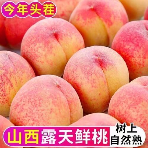 【头茬新桃】正宗脆甜水蜜桃新鲜桃子当季水果孕妇毛桃脆桃红不软
