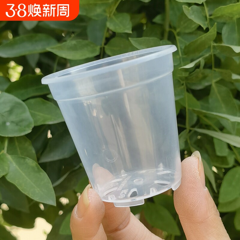 蝴蝶兰花高透明塑料圆花盆盆栽石斛蝴蝶兰扦插种植实验盆桌面手工