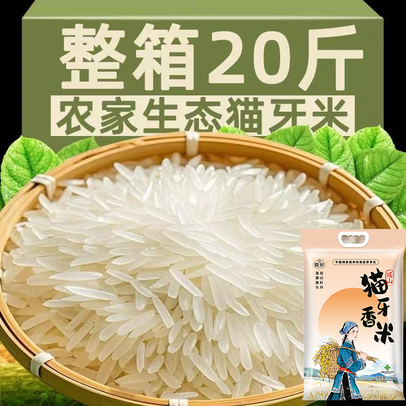 2025年优质新米瑶山猫牙香米正宗农家当季米炒饭煲仔饭农场生态