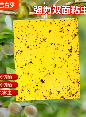 双面粘虫板黄板白粉虱蓟马除果蝇蔬菜抓捕灭蚊蝇黄色黏虫板粘虫球