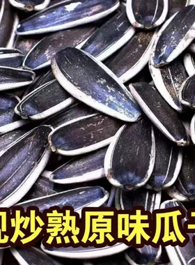 2024新货葵花籽大颗粒原味炒熟生瓜子5斤批发零食葵花子散装五香
