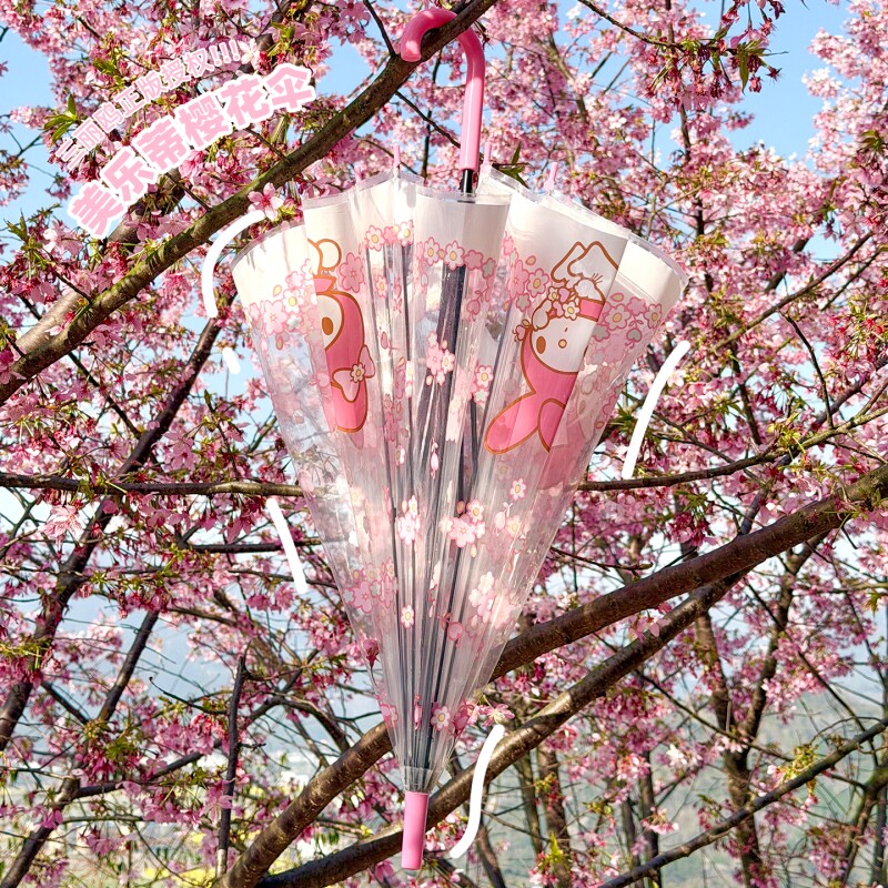 三丽鸥授权HelloKitty透明长柄伞防雨甜美可爱日系雨伞萌系