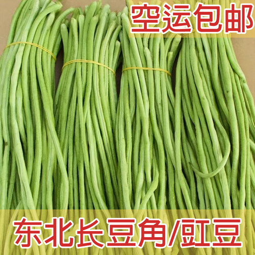 发空运】东北豇豆新鲜长豆角整箱发货农家自种蔬菜可做咸菜脆嫩