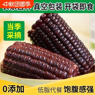 山西黑玉米真空即食脆甜紫玉米整箱