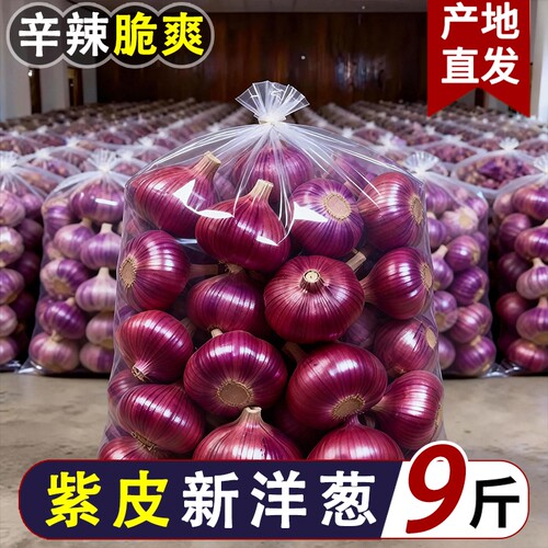 2026新鲜现挖紫皮洋葱当季圆葱生吃辛辣脆嫩凉拌2/5/9斤批发包邮
