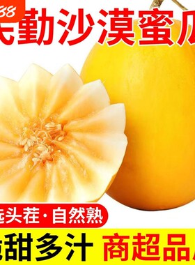 民勤沙漠蜜瓜高糖爆汁金红宝