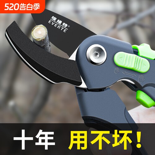 剪刀修枝剪园艺剪刀剪树枝剪子