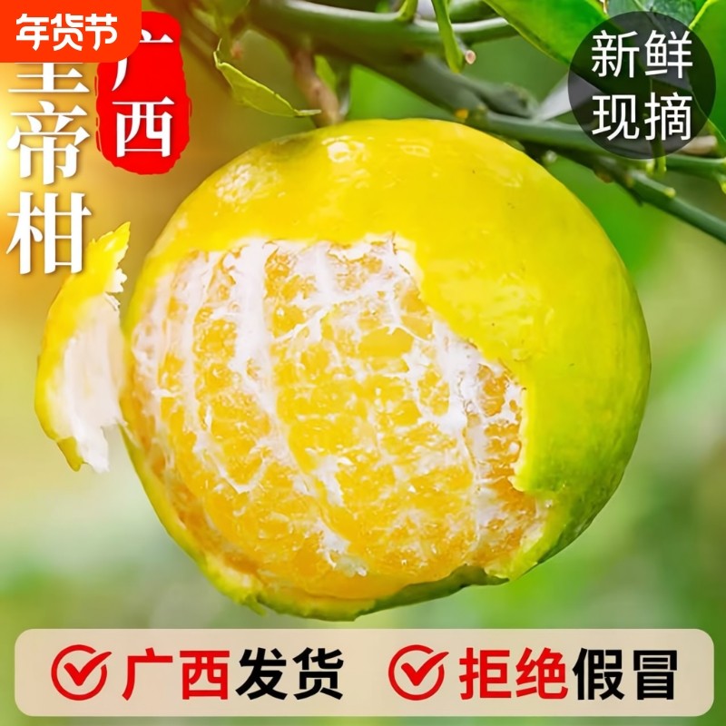 广西皇帝柑新鲜桔子9斤武鸣当季现摘甜橘子孕妇水果整箱正宗包邮5,水产肉类/新鲜蔬果/熟食,桔子,淘宝优惠券,粉丝福利购,淘宝优惠卷