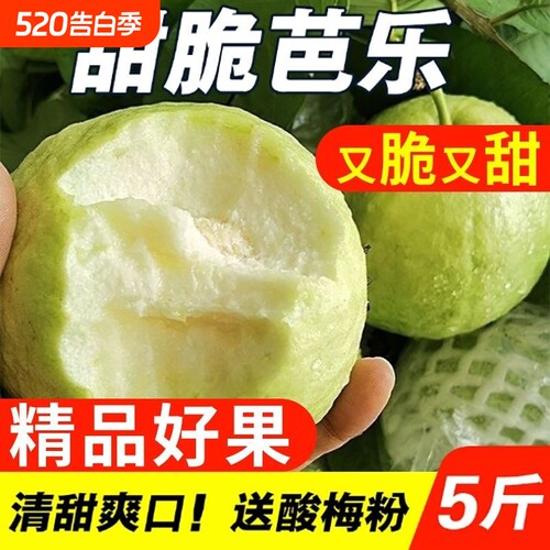 正宗脆甜芭乐软糯香甜奶油芭乐