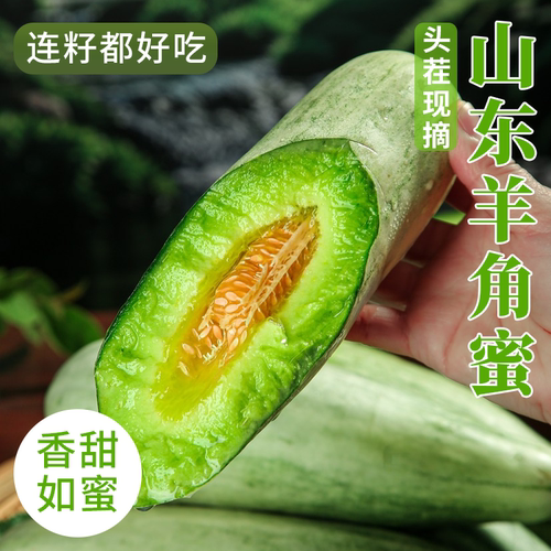 山东羊角蜜甜瓜新鲜应季水果脆甜香瓜蜜瓜正宗整箱产地直发现摘