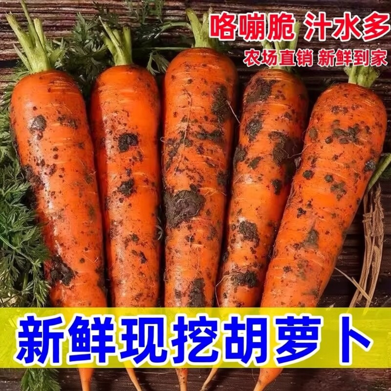 胡萝卜新鲜批发农家自种河南蔬菜水果可生吃即食甜脆宝宝辅食9斤
