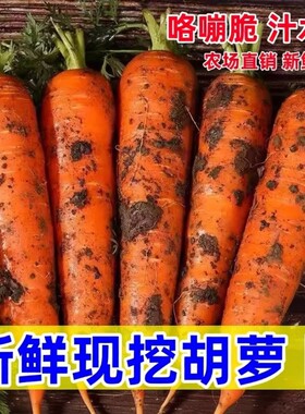 胡萝卜新鲜批发农家自种河南蔬菜水果可生吃即食甜脆宝宝辅食9斤