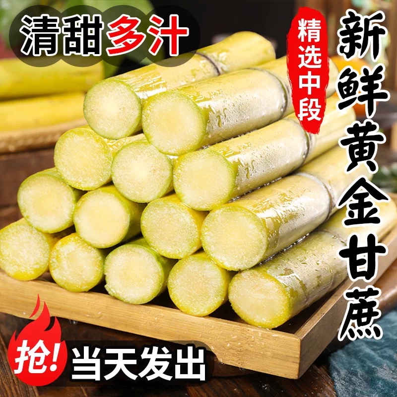 云南黄金甘蔗新鲜当季水果黄皮青皮甘蔗现砍脆甜多汁精选中段9斤