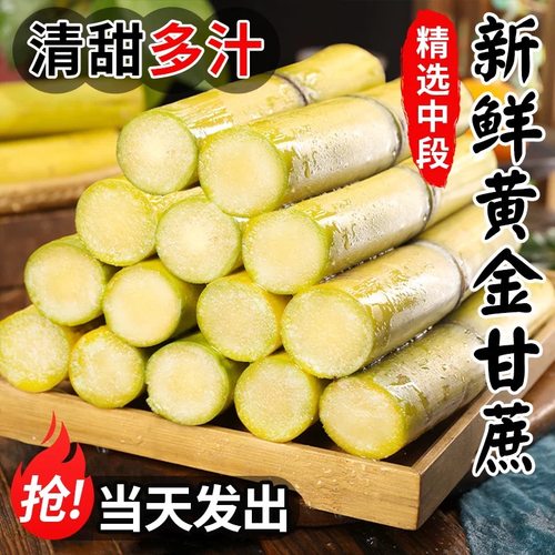 云南黄金甘蔗新鲜当季水果黄皮青皮甘蔗现砍脆甜多汁精选中段9斤