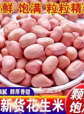 当季新货花生米颗粒饱满白沙白皮花生米农家花生仁榨油家用商用