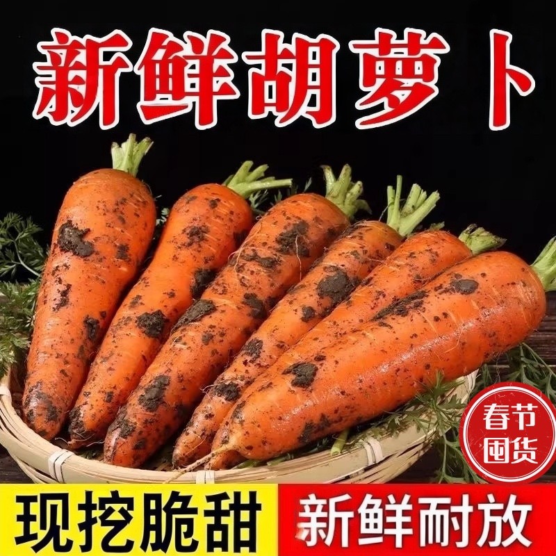 新鲜胡萝卜带泥农家自种现挖当季水果胡萝卜脆甜多汁生吃蔬菜批发,水产肉类/新鲜蔬果/熟食,萝卜/胡萝卜,淘宝优惠券,粉丝福利购,淘宝优惠卷