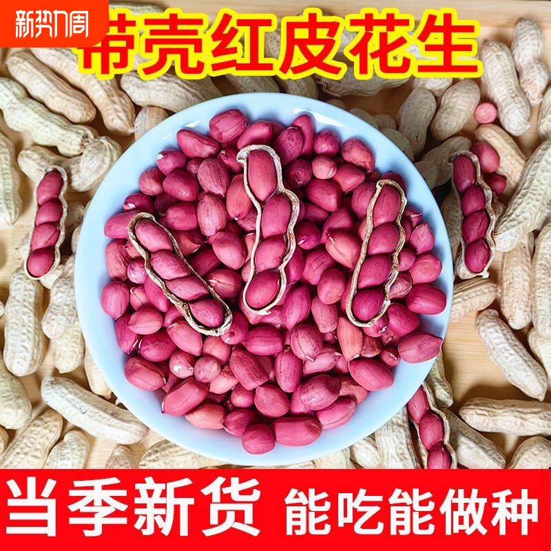 2025年新鲜农家自种红皮生花生带壳晒干生花生米生新货四粒红袋装
