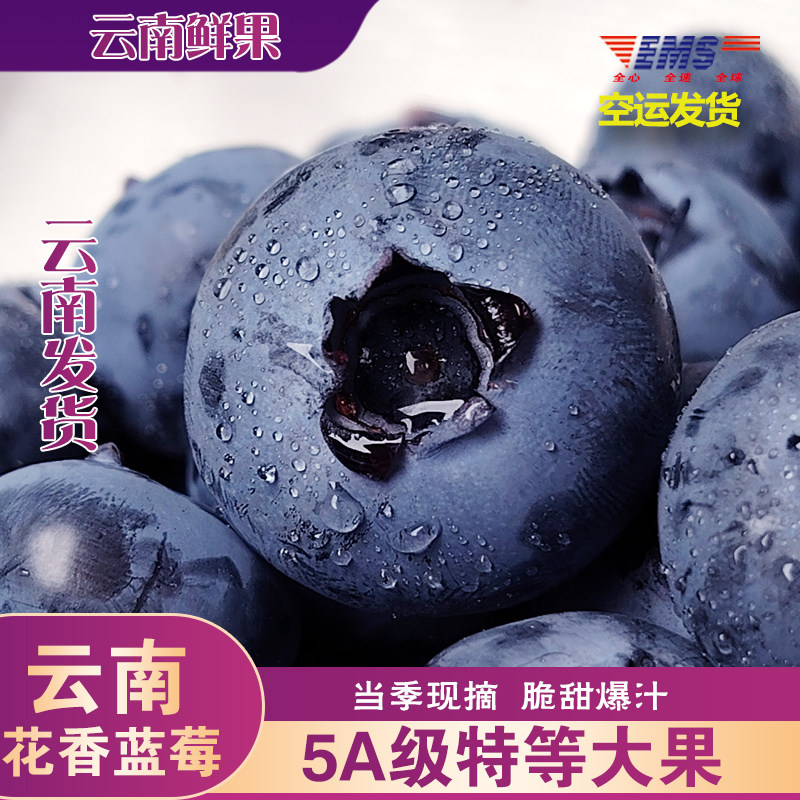 云南蓝莓花香浓郁大果肉厚新鲜采摘当季鲜果空运发货蓝莓多规格