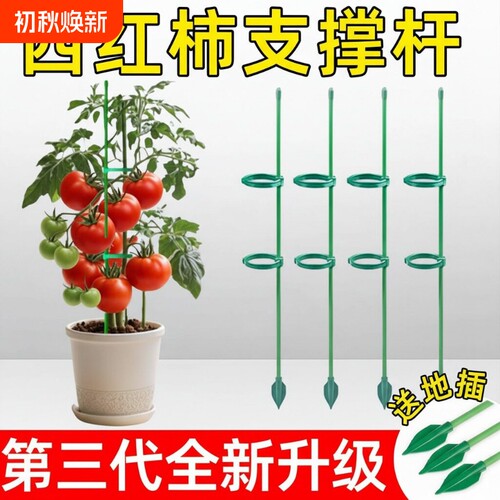 盆栽番茄支撑架西红柿专用架子阳台种菜黄瓜辣椒龟背竹爬藤搭架杆