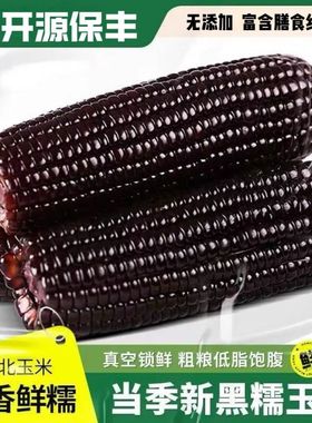 东北黑龙江甜糯玉米产地直发新鲜苞米大棒10支独立真空装软糯香甜