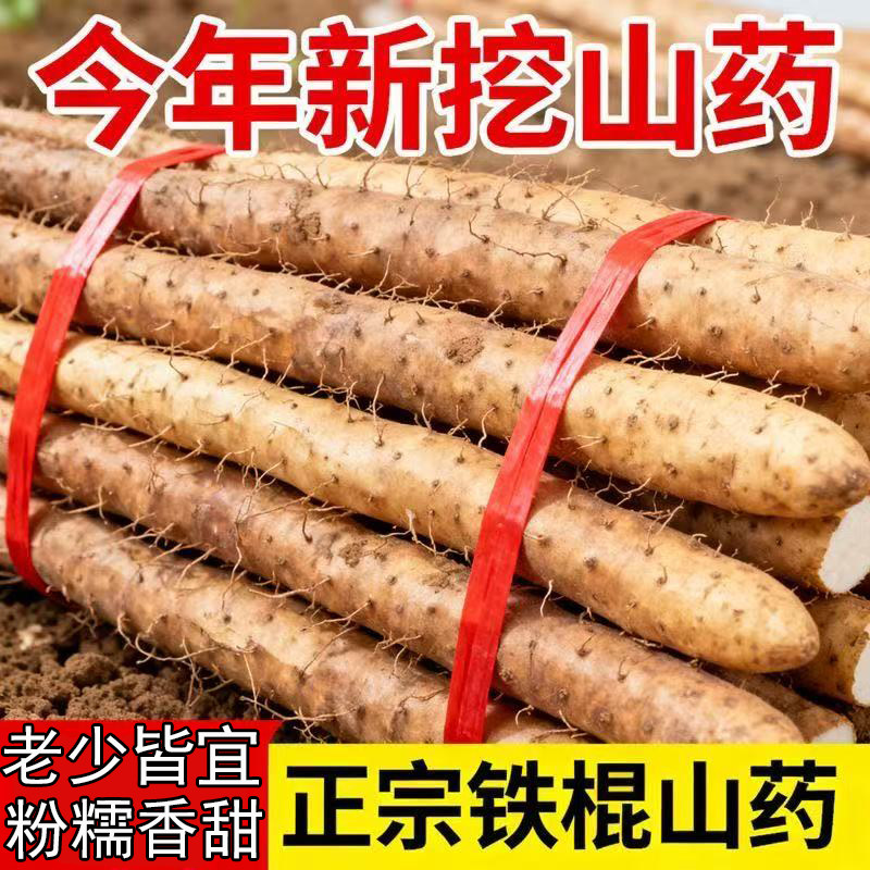 河北特产新鲜山药铁棍山药小白嘴山药新鲜麻山药多规格可选直发