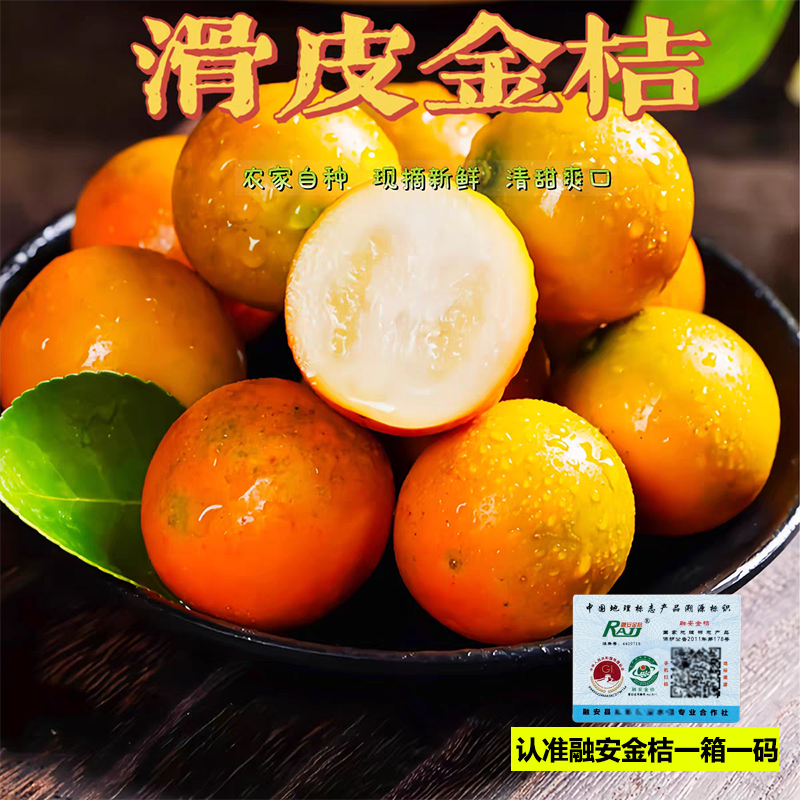 广西融安滑皮金桔当季新鲜水果纯甜金橘孕妇脆大果顺丰直达