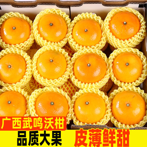 广西沃柑新鲜水果当季一整箱时令现摘斤沙糖蜜橘砂糖柑橘桔子橘